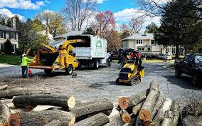 Best Commercial Tree Services  in Holly Lake Ranch, TX